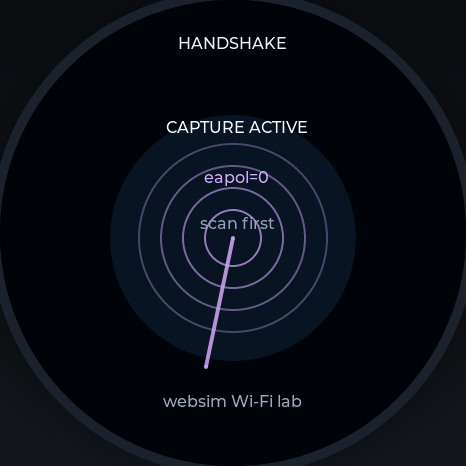 WebSim Handshake lab face